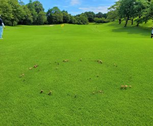 立川花子のゴルフ珍道中 立川国際カントリー倶楽部 立川花子のゴルフ珍道中 立川国際カントリー倶楽部